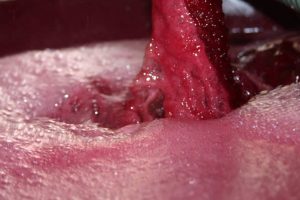 “Cantina Italia”: Novembre 2019, le scorte di vino a quota 39 milioni di ettolitri (24% Veneto)