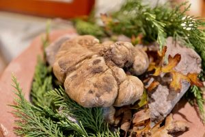 &ldquo;Un Tartufo per la Pace 2022&rdquo; assegnato alla Onlus di Simonetta Ser&agrave;gnoli, &ldquo;signora&rdquo; del Montenegro