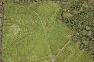 Il “Mondiale” della viticoltura eroica in Valle d’Aosta: i migliori 15 vini per l’Italia