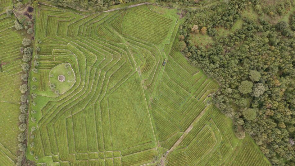 La tenuta Tascante di Tasca d’Almerita