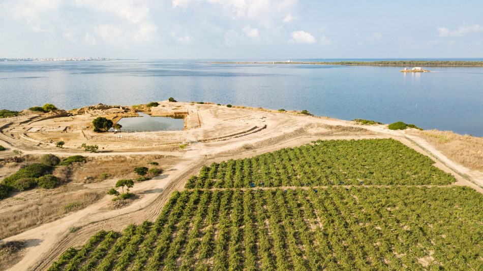 La Tenuta Whitaker di Tasca d’Almerita
