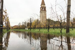I locali e “le vigne” di Venezia si mobilitano dopo la marea: al via raccolta fondi Fipe e Venissa
