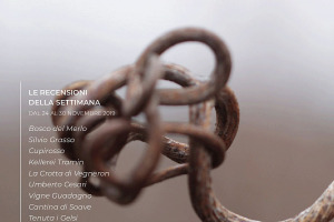 I Vini di WineNews - N. 77