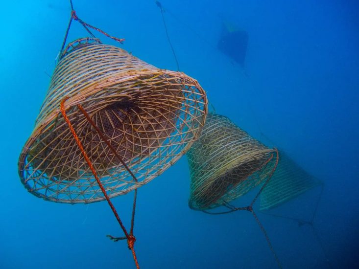 Nesos, il vino marino ottenuto da Ansonica vinificata come 2.500 anni fa