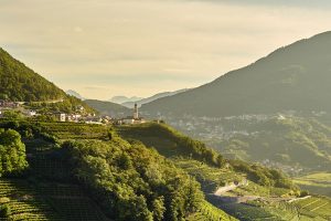 Uno spumante ancora troppo poco noto