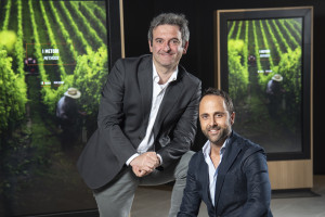 15 milioni di euro per lo sviluppo tecnologico e produttivo: i piani di Mondodelvino