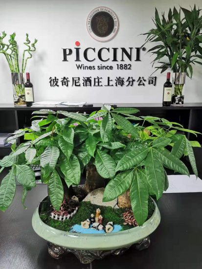 La sede di Piccini in Cina, dove l’azienda è cresciuta del 50% anno su anno