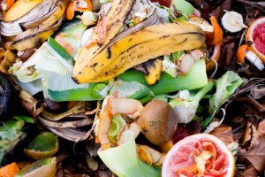 Sprechi alimentari, ogni anno nel mondo viene buttato quasi 1 miliardo di tonnellate di cibo