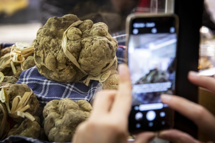 Il tartufo bianco di Alba. Ph: G.Perottino/Getty Images