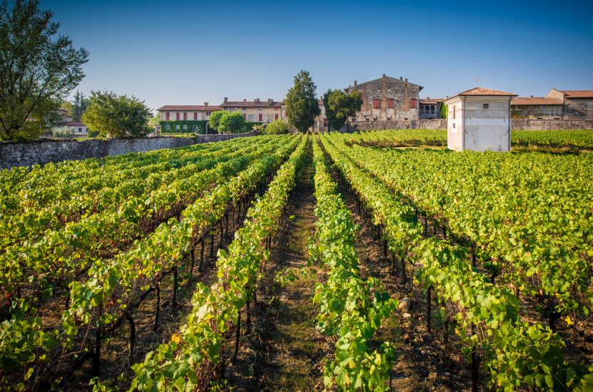 La Vigna Brolo