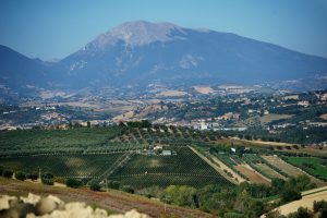 Farnese Vini passa di mano: al fondo Usa Platinum per 180 milioni di euro