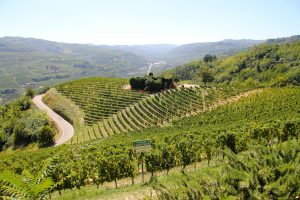 Tra storia, territorio, gastronomia e turismo, alla scoperta dell’Asti Docg