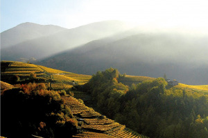I Quaderni di WineNews - Il TrentoDoc