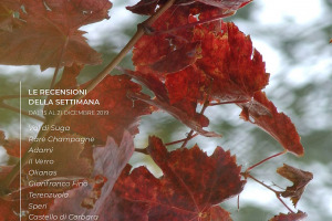 I Vini di WineNews - N. 80