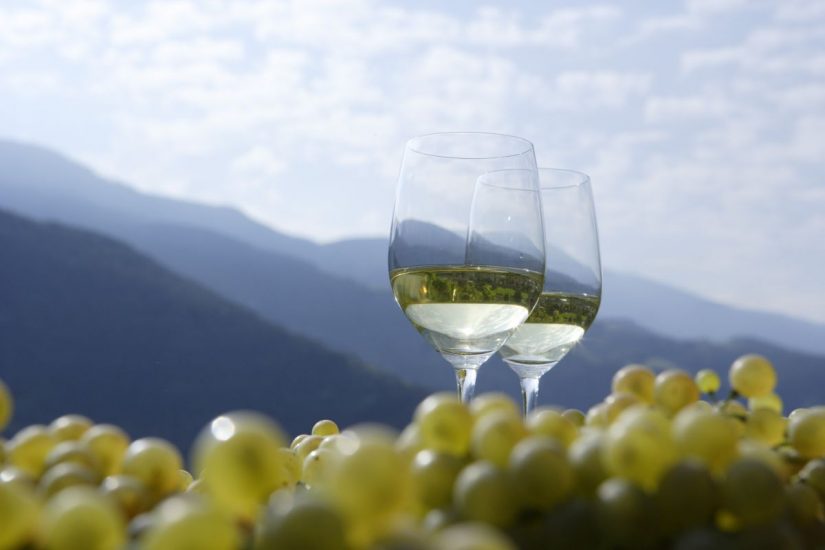 I vignaioli del Trentino e dell’Alto Adige insieme a Vignaioli di Montagna. Ph Frieder Blickle