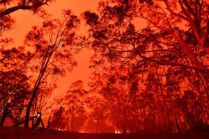 I wine merchant britannici si mobilitano per l’Australia devastata dagli incendi