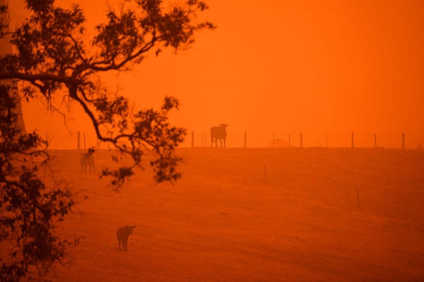 Gli incendi che devastano l’Australia