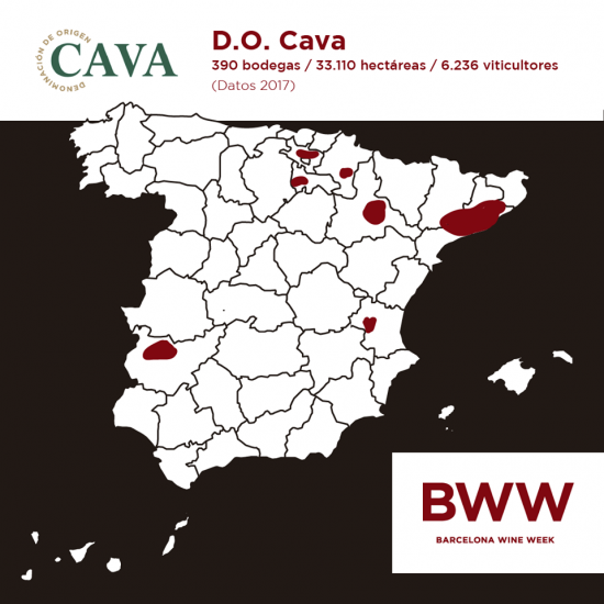 Spagna e Vino