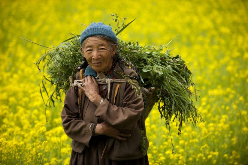 Gli scati del National Geographic con i mille volti delle cibo