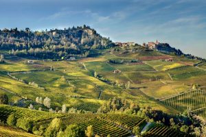 I grandi vini del Piemonte rendono più di Borgogna e Bordeaux. A dirlo Wine-Lister I grandi vini del Piemonte rendono più di Borgogna e Bordeaux. A dirlo Wine-Lister