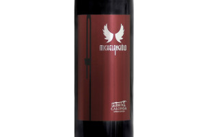 Calonga, Doc Romagna Sangiovese Superiore Michelangiolo Riserva 2016