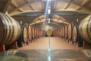 Brunello is the most expensive wine (1,085 euros per hectoliter), followed by Amarone and Barolo