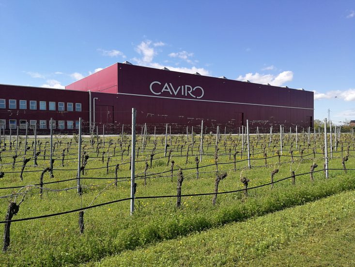 Caviro