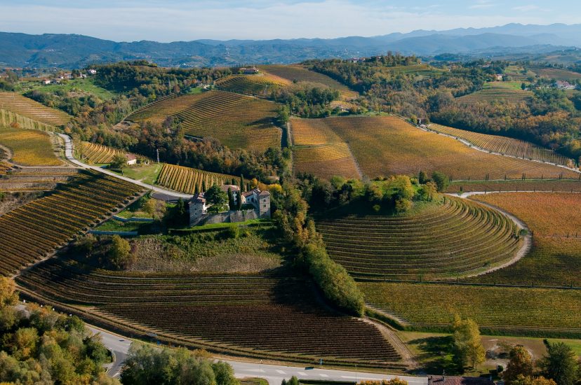 Il Collio, tra i grandi territori del vino del Friuli Venezia Giulia