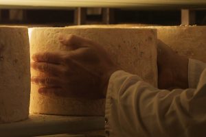 Caseificio Angelo Croce, Gorgonzola Dop