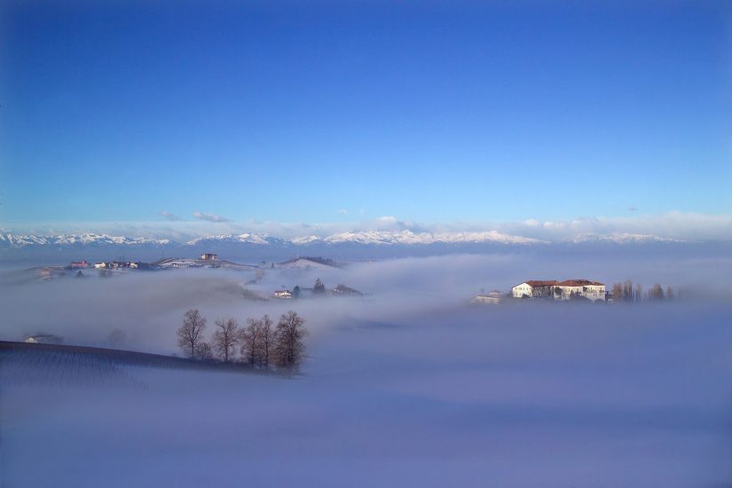 Dalle vigne delle Langhe si intravedono le Alpi