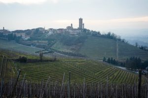 Più aperte al mondo, e alla collaborazione tra produttori: le Langhe secondo i giovani vignaioli Più aperte al mondo, e alla collaborazione tra produttori: le Langhe secondo i giovani vignaioli