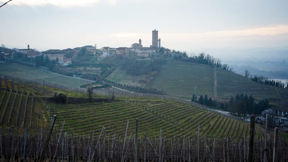Le Langhe nella loro bellezza, trama di vigne e castelli