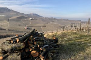 Piedmont, convert the Ocm Promotion funds not spent on wine storage and not only Piedmont, convert the Ocm Promotion funds not spent on wine storage and not only