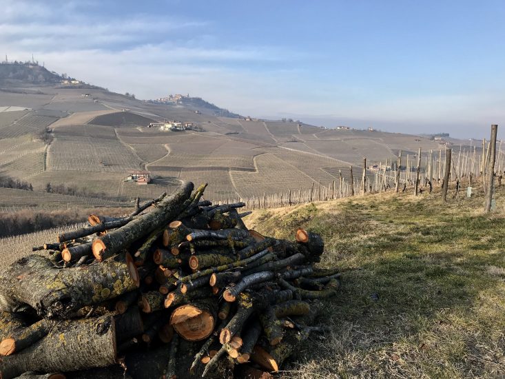Le Langhe nella loro bellezza, trama di vigne e castelli