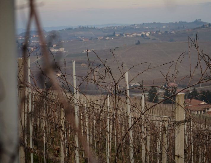 I vigneti delle Langhe e le loro Colline sormontante da Castelli, storia d’Italia