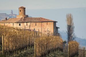 Riserva vendemmiale pari al 10% della produzione massima di uva ammessa per Barolo e Barbaresco