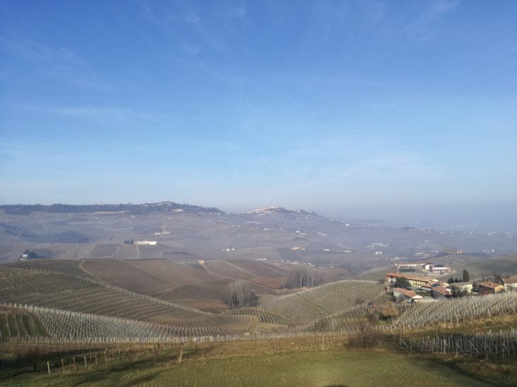 I vigneti delle Langhe e le loro Colline sormontante da Castelli, storia d’Italia