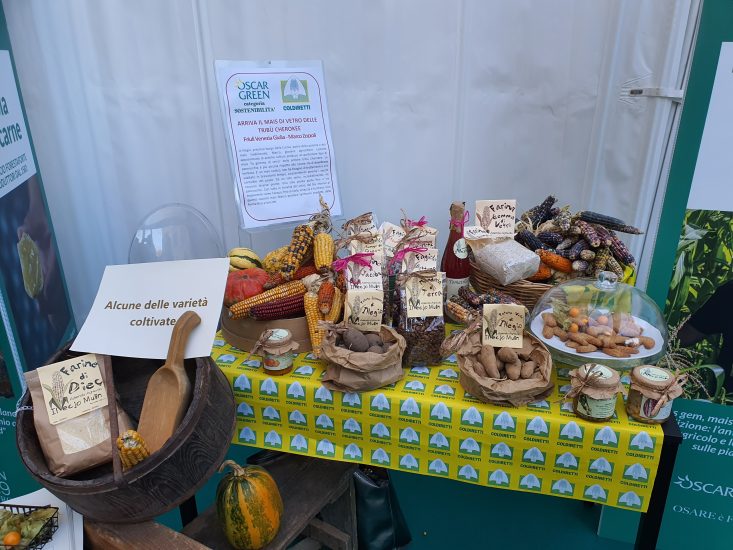 L’antico e coloratissimo mais dei Cherokee recuperato