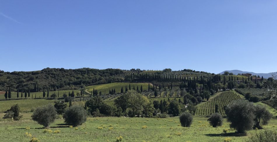 La campagna di Montalcino