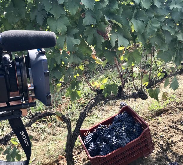 Montalcino ed il Brunello sempre al centro dell’attenzione dei media