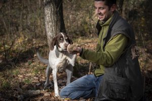 La “Cerca e cavatura del Tartufo in Italia” candidata a patrimonio culturale Unesco