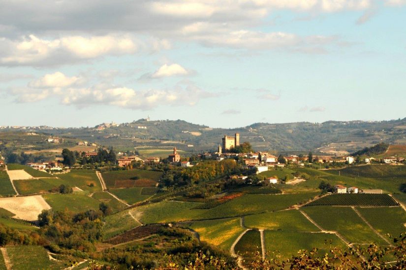 I vigneti delle Langhe, territorio del vino tra i più importanti del mondo