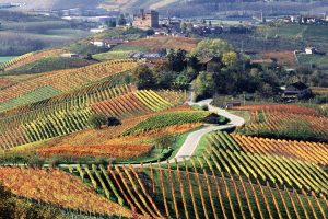 I grandi vini, il tartufo e non solo: il Piemonte tra le “7 best wine travel experiences 2020” I grandi vini, il tartufo e non solo: il Piemonte tra le “7 best wine travel experiences 2020”