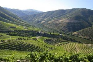 Symington, un milione di euro per cultura, educazione e associazionismo di Douro e Alto Alentejo