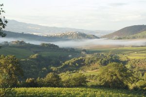 Tempi nuovi. Anche per Montalcino
