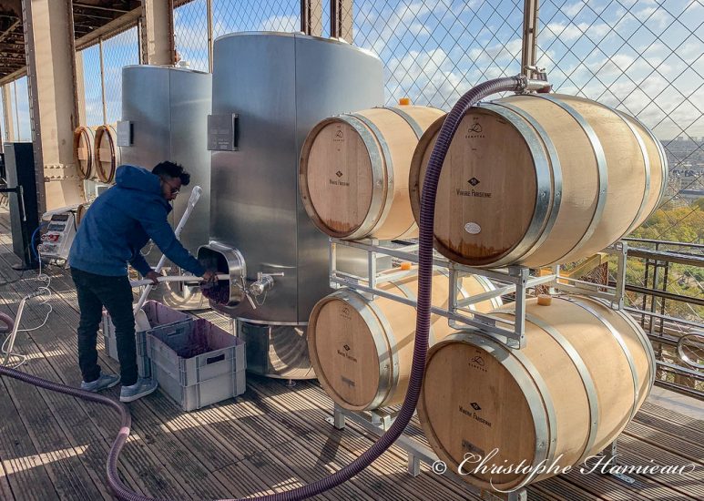La Winerie ParIl vino dell’Île-de-France vinificato sulla Tour Eiffelisienne a monté un chai éphémère au 1er étage de la Tour Eiffel pour y faire vieillir la cuvée 2019 de son vin d’Ile de France. (Semaine 45) La Winerie Parisienne has set up an ephemeral winery on the 1st floor of the Eiffel Tower to age the 2019 vintage of its Ile de France wine. (Week 45)