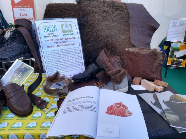 Agricoltura e innovazione, c’è chi alleva bufali in Umbria per farne carne e non solo