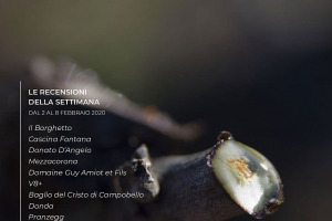 I Vini di WineNews - N. 87