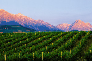 L’Abruzzo premia le parole più belle che raccontano la sua terra, di vini, arte e natura da svelare