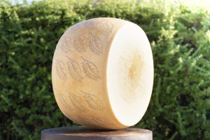 Agrinascente - Parma2064, formaggio Verdiano